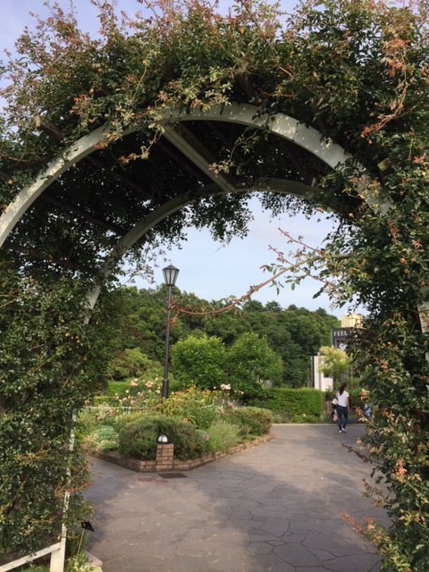 横浜にある山手公園のガーデンウェディングの勉強をしてきました！！