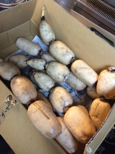 3f6b8d2f-612b-4276-9735-f44eb919585a