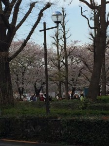 f649effe-9857-4a1f-a1f6-09dd59d282fc