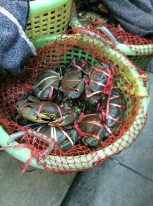 817ce5c7-99ec-4521-a9a3-319db1c6f109