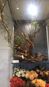 d71161fa-c3c4-4ed8-a5f8-e0309a425476