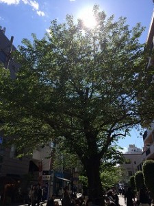 iPhone-2017.04.23-14.05.20.993