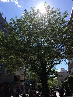 やっぱり春が一番気持ち良い季節ですね！今回は船上ウェディングです！