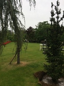 iPhone-2017.05.09-16.19.13.597