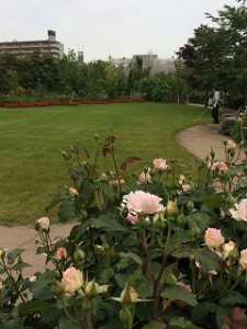 iPhone-2017.05.09-16.19.52.696