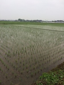 iPhone-2017.05.13-09.00.27.698