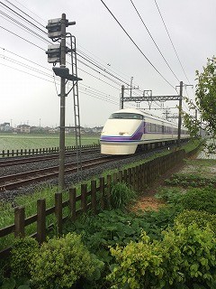 100㎞超の旅　横浜～埼玉県加須市　おかみさん！ありがとう！