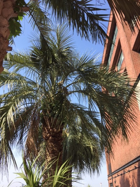 逗子にてケータリング