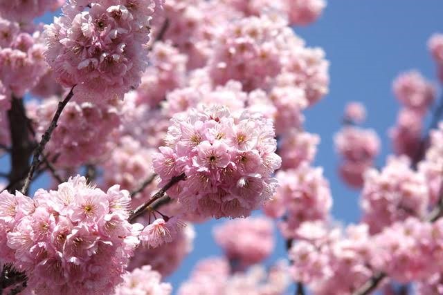 新メニューのご紹介