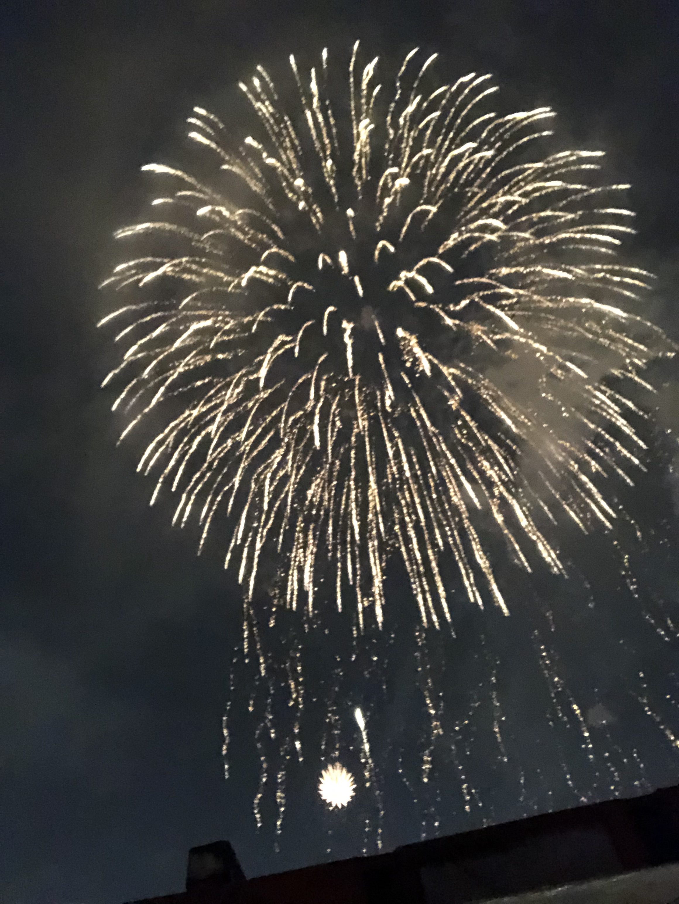 ケータリング　夏メニュー！！～船上～