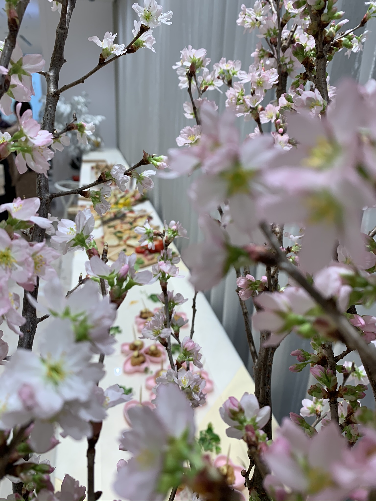 マサキ・フォト・スタイル④