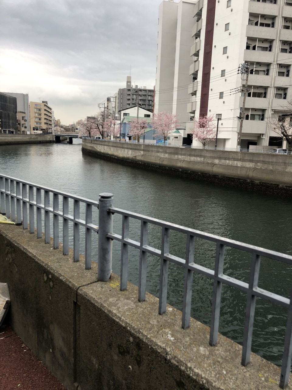 ケータリング～東京～　春メニュー！！