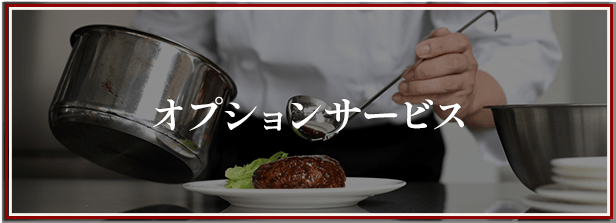 オプション写真